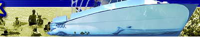 The Boat