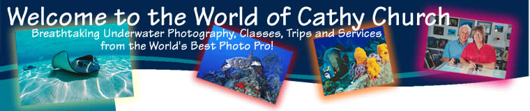 Underwater Photography 1