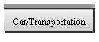 Car Rentals