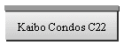 Kaibo Condos C22