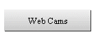 Web Cams