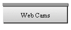 Web Cams