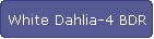 White Dahlia-4 BDR