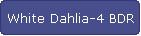 White Dahlia-4 BDR