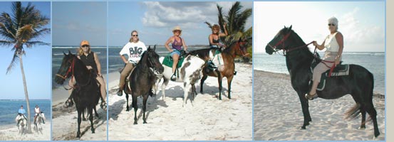 Coral Stone Stables - Horseback Riding in Grand Cayman, Cayman Islands