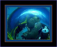The Bubble Sub submarine in Grand Cayman - The worlds first all around visibility submarine